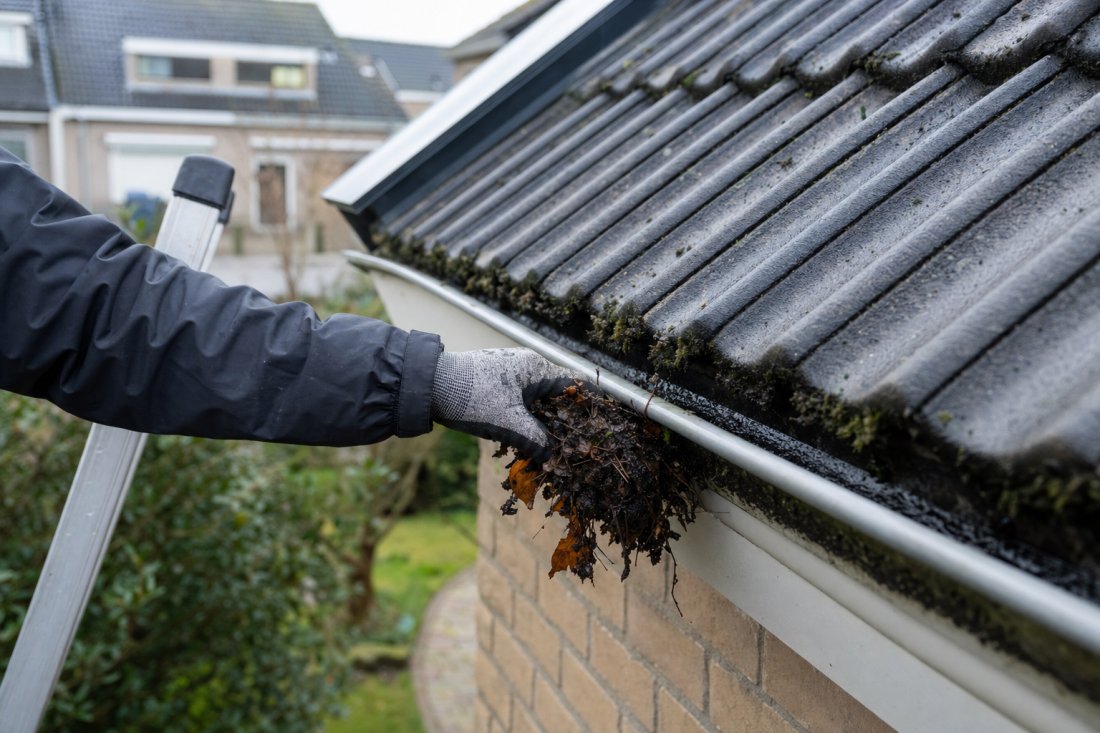 Dakgoot reinigen in Noord-Brabant | Dakreinigingsdiensten