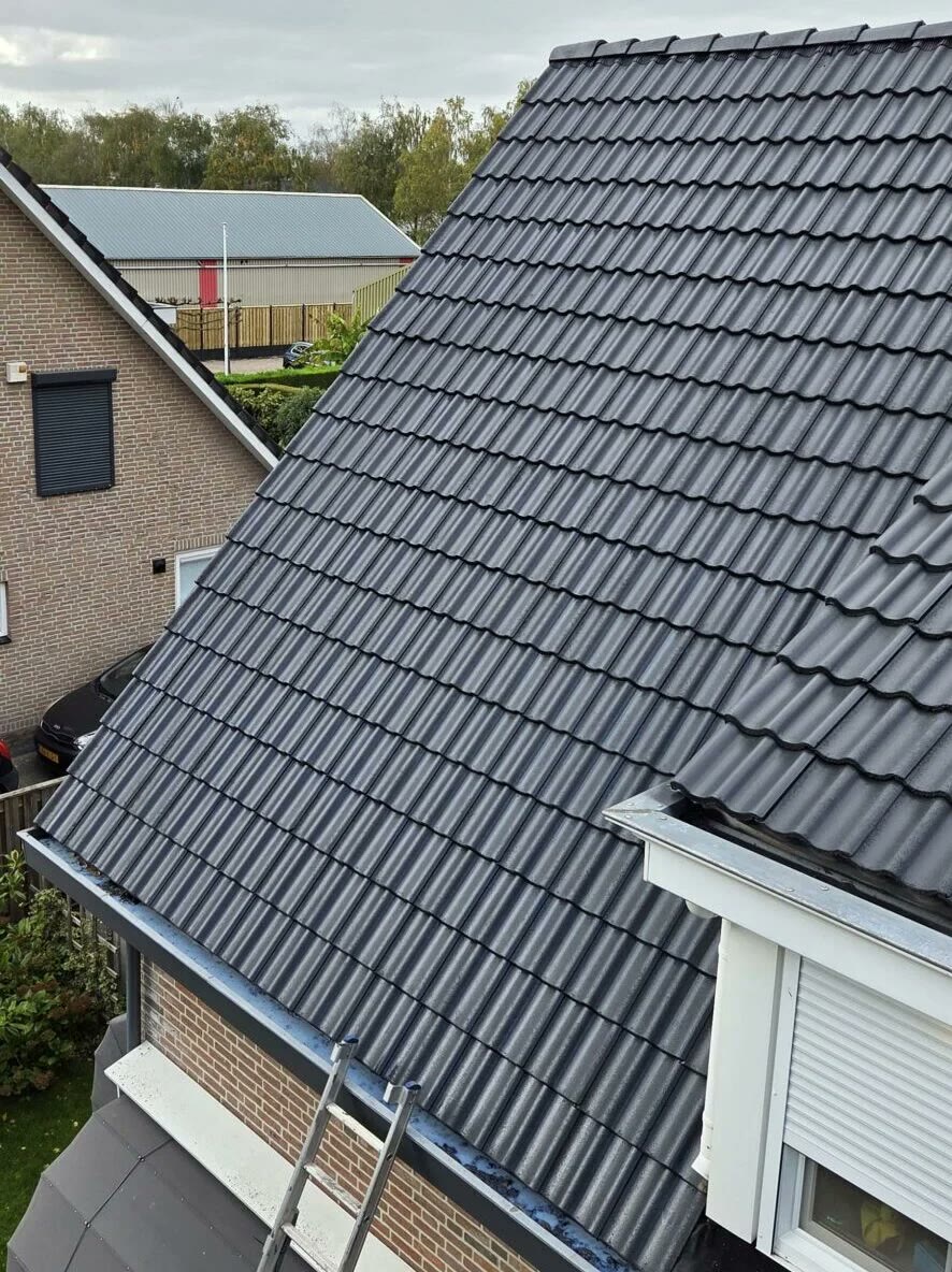 Dakpannen coating in antraciet close-up | Dakreinigingsdiensten